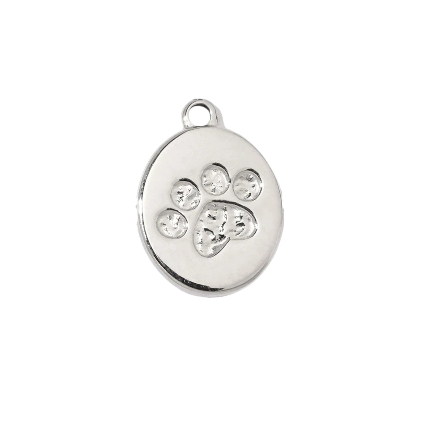 Charms DOG PAW silver