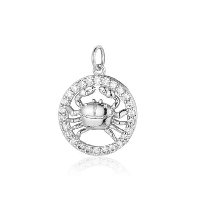 Charmsy "ZODIAC" silver