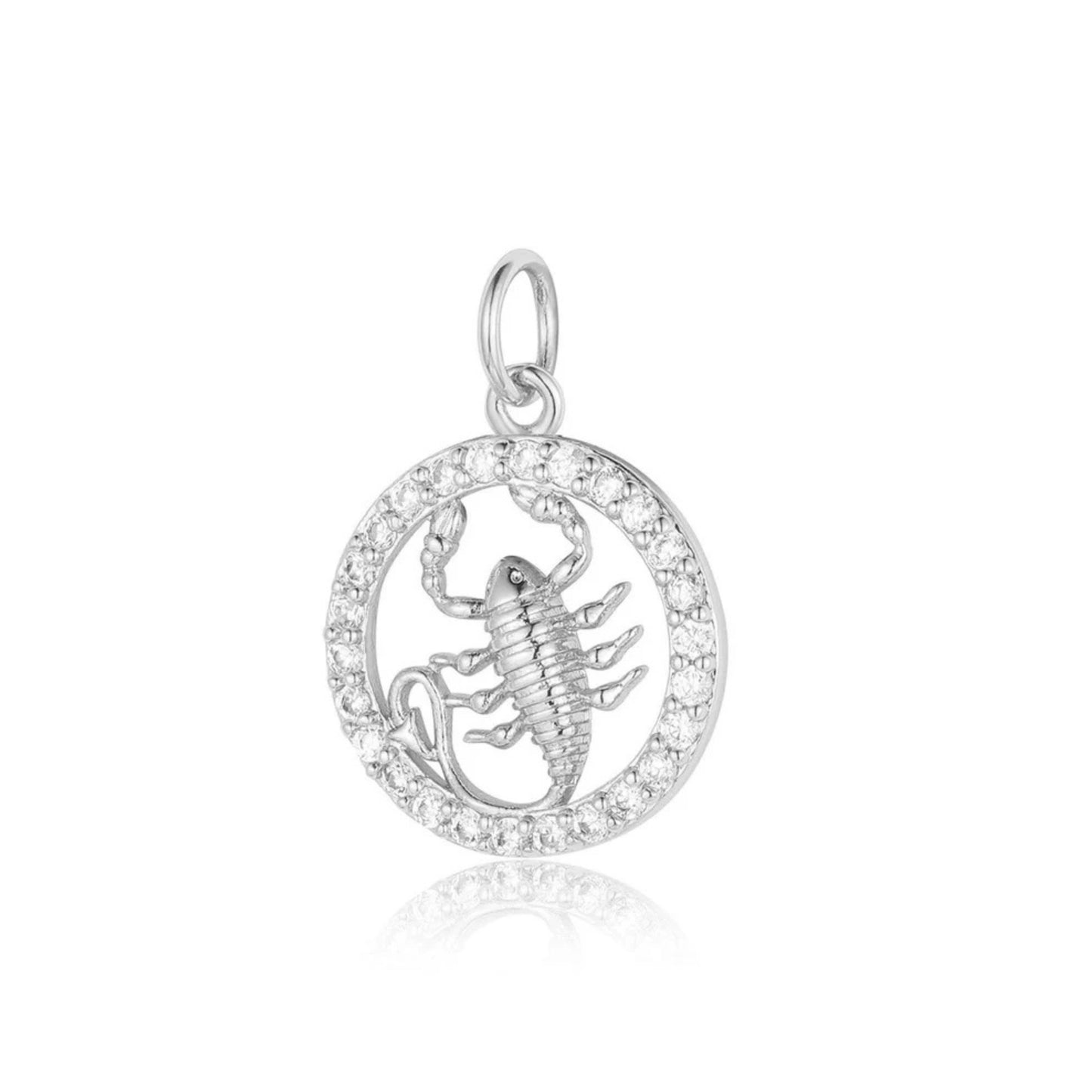 Charmsy "ZODIAC" silver