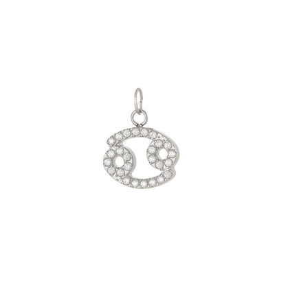 Charms ZODIAC SIGN silver