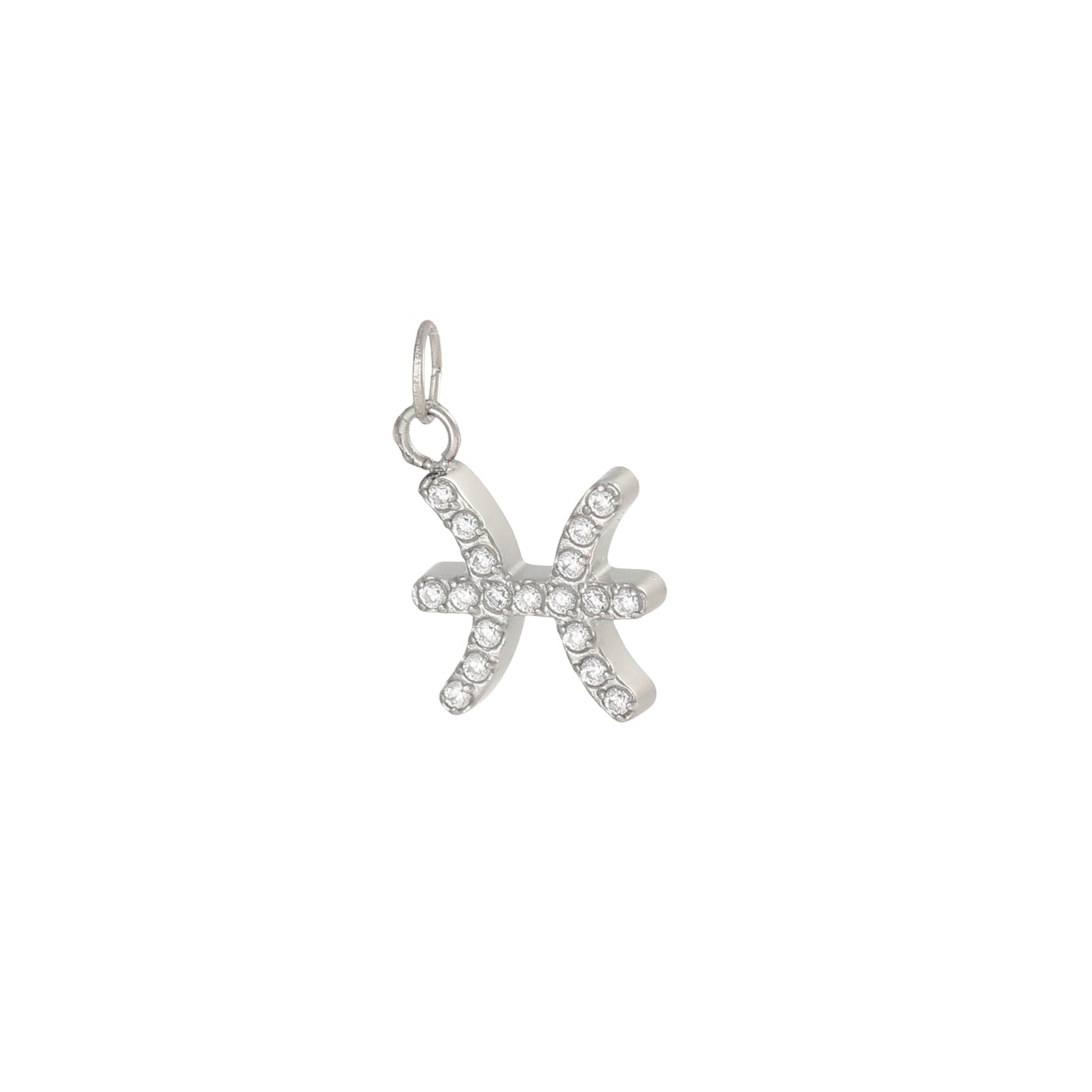 Charms ZODIAC SIGN silver