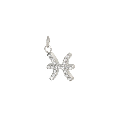 Charms ZODIAC SIGN silver
