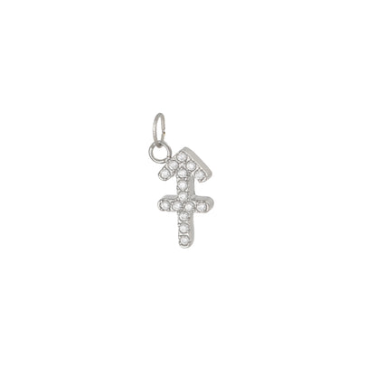 Charms ZODIAC SIGN silver