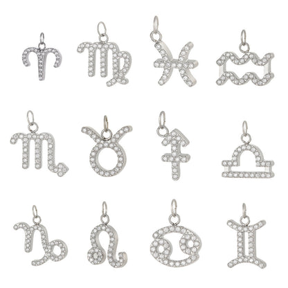 Charms ZODIAC SIGN silver