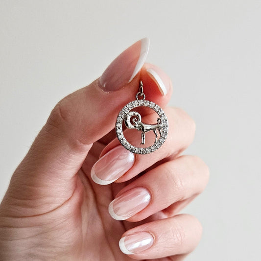 Charmsy ZODIAC silver